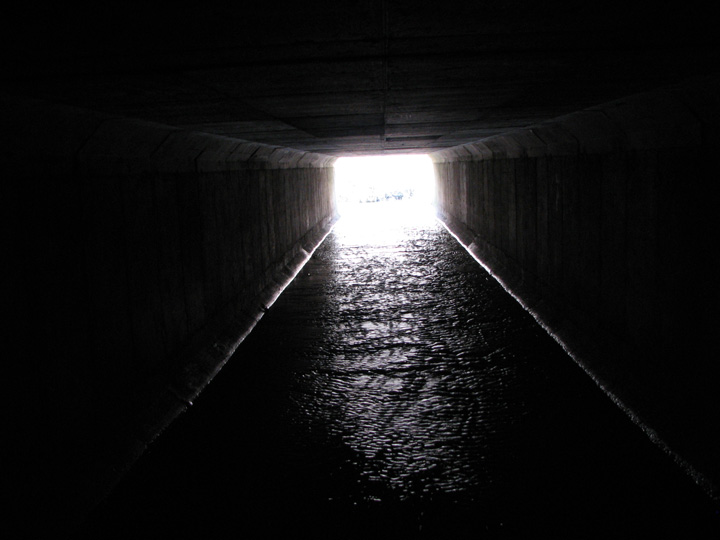 Field photo showing stream conditions at site BUSH-102-R-2007-2