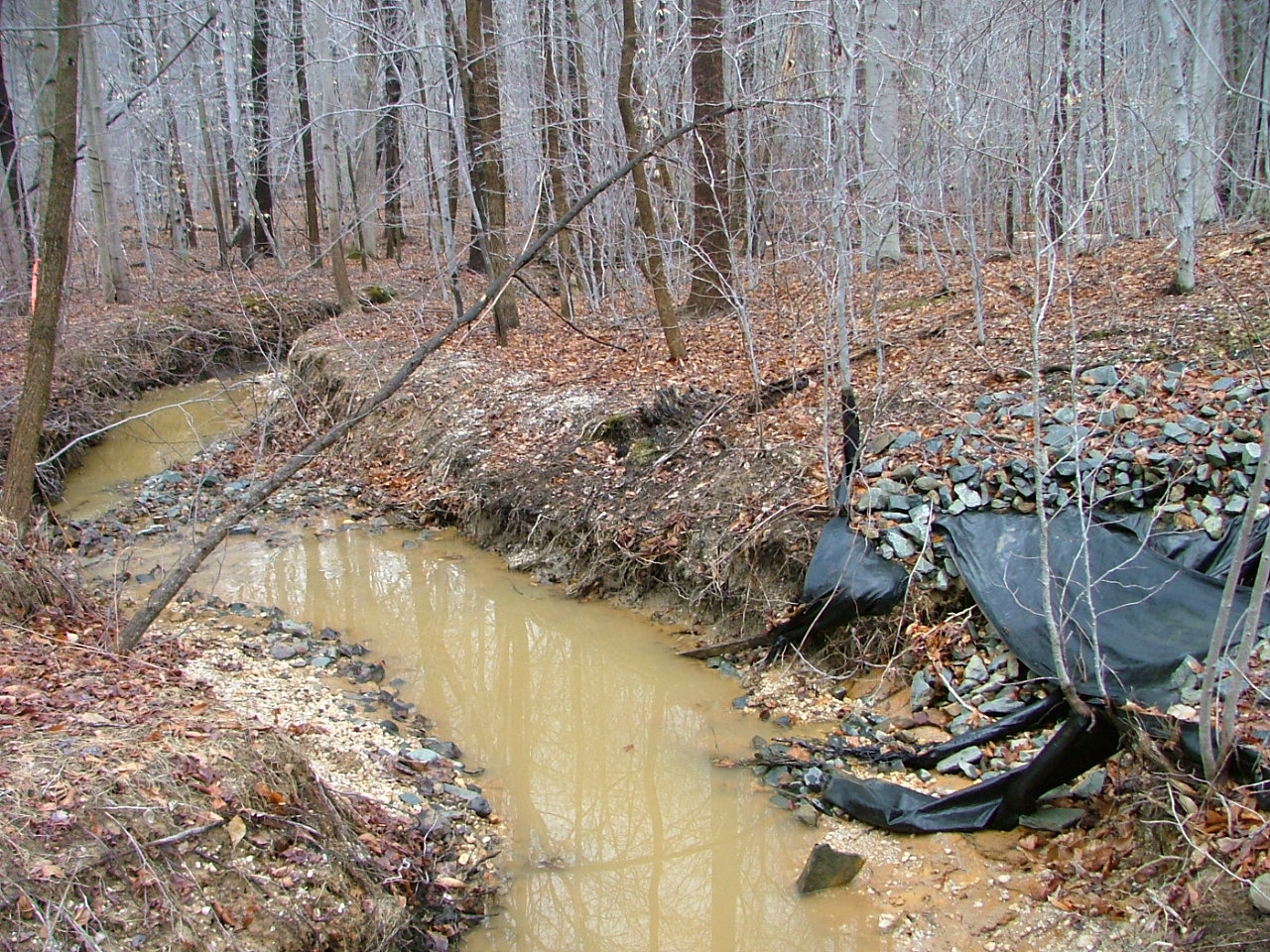 Field photo showing stream conditions at site BUSH-103-R-2004-3