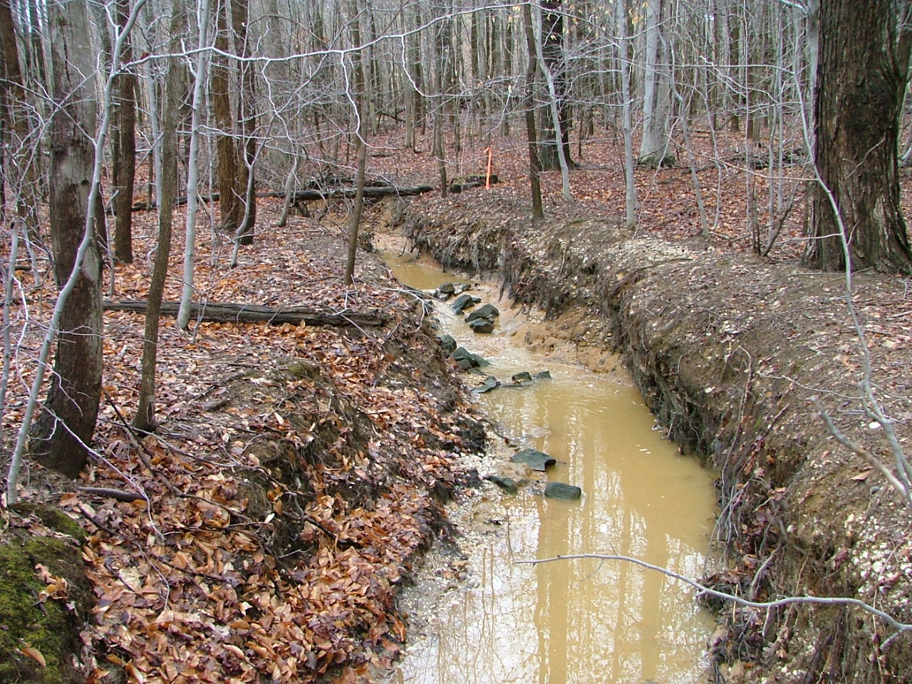 Field photo showing stream conditions at site BUSH-103-R-2004-4