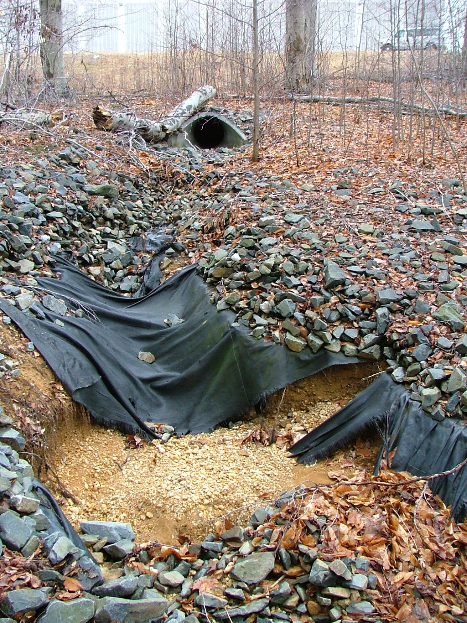 Field photo showing stream conditions at site BUSH-103-R-2004-5