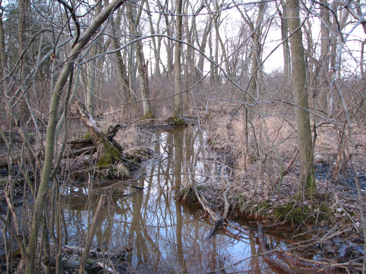 Field photo showing stream conditions at site BUSH-104-R-2007-1