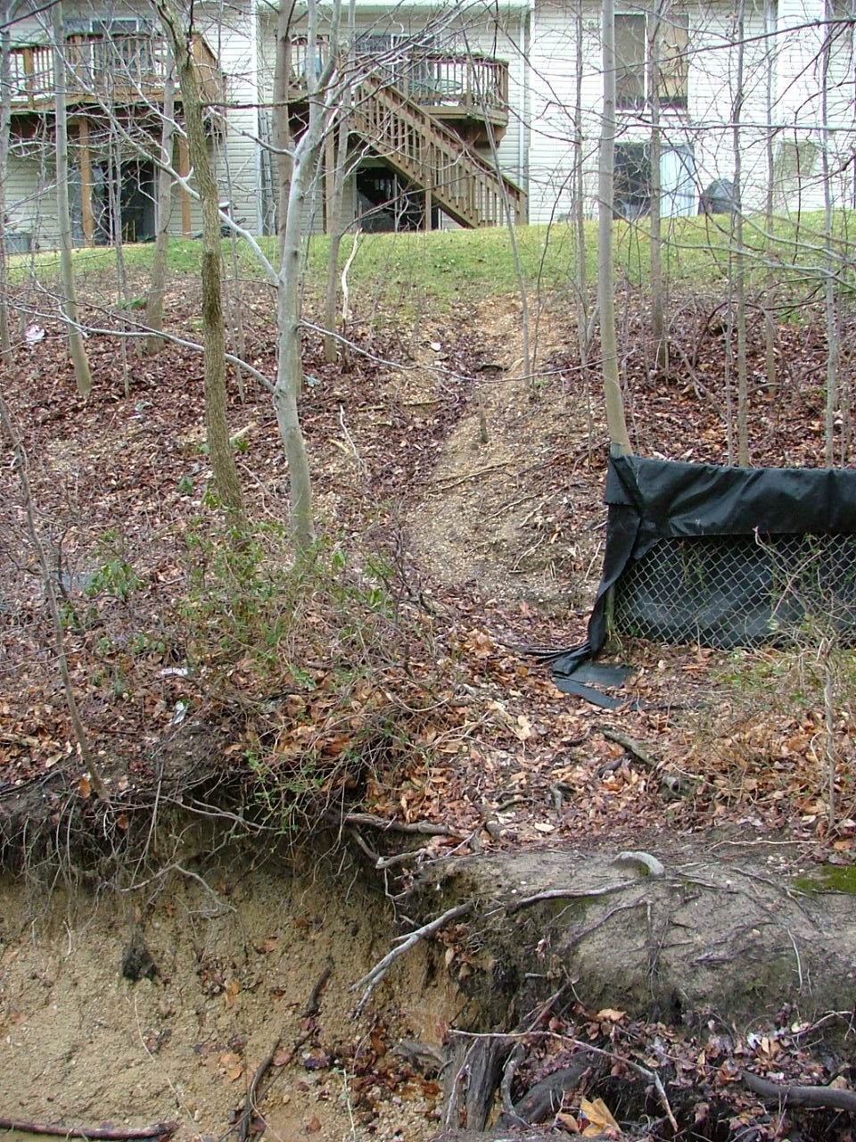 Field photo showing stream conditions at site BUSH-106-R-2004-11