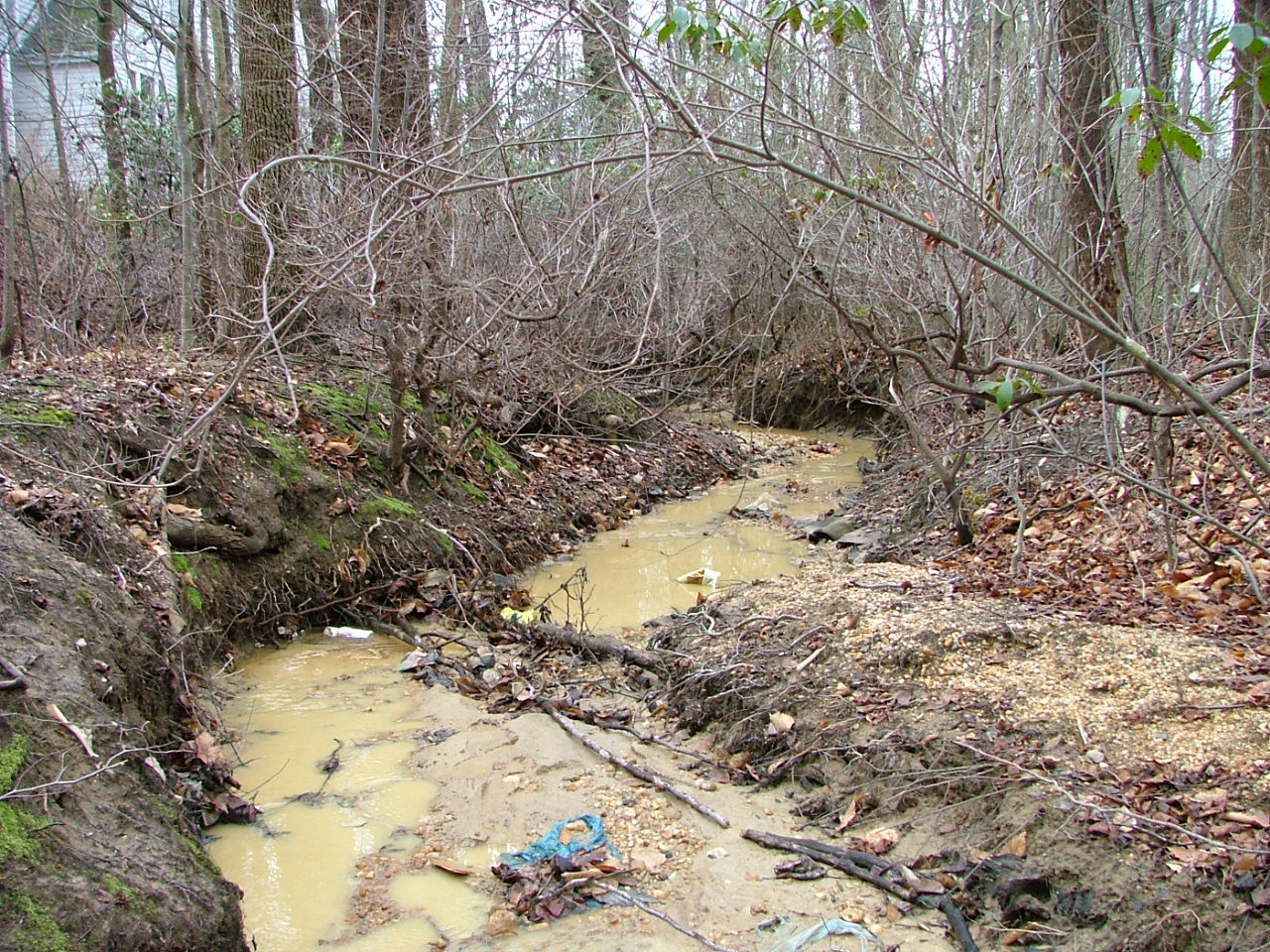 Field photo showing stream conditions at site BUSH-106-R-2004-8