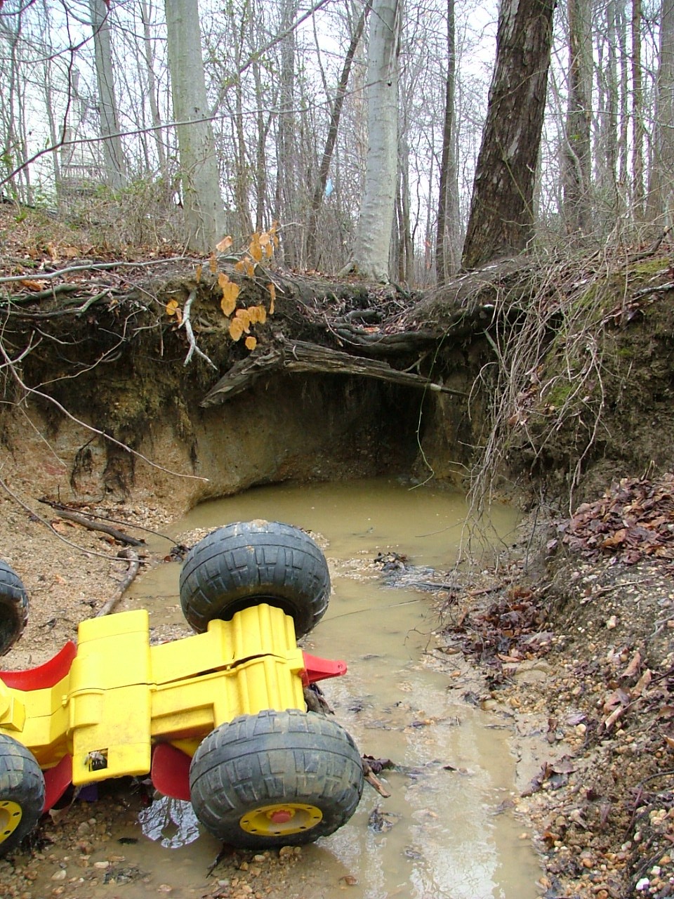 Field photo showing stream conditions at site BUSH-106-R-2004-9