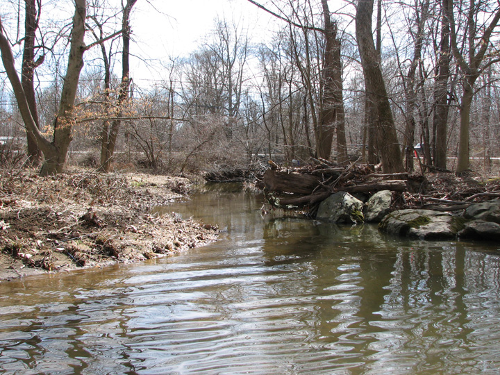 Field photo showing stream conditions at site BUSH-252-T-2007-1