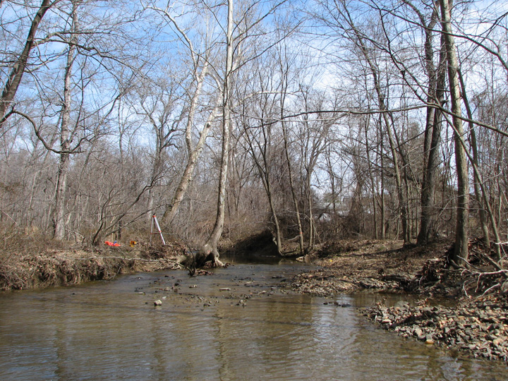 Field photo showing stream conditions at site BUSH-252-T-2007-2