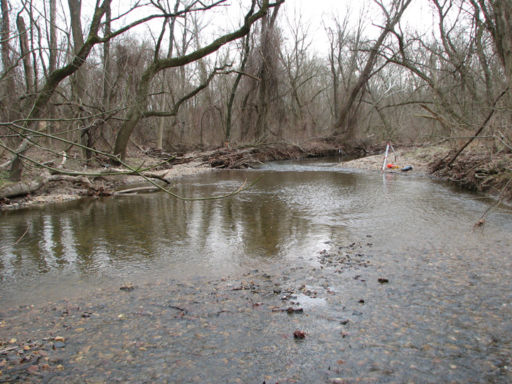 Field photo showing stream conditions at site BUSH-253-T-2007-1