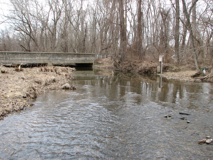 Field photo showing stream conditions at site BUSH-253-T-2007-2