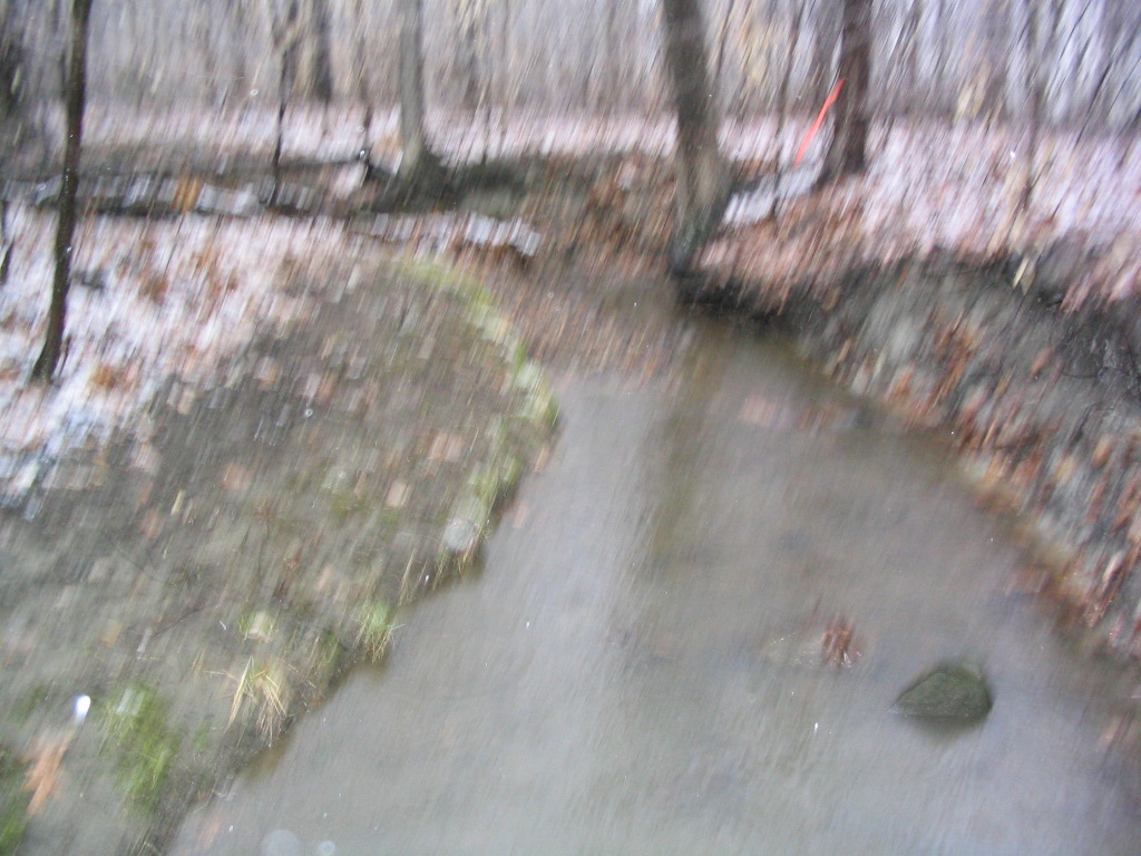 Field photo showing stream conditions at site BYNU-105-R-2004-10