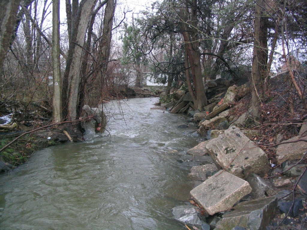 Field photo showing stream conditions at site BYNU-109-R-2004-11