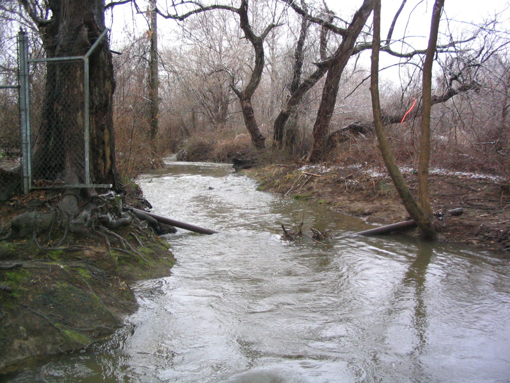 Field photo showing stream conditions at site BYNU-109-R-2004-12
