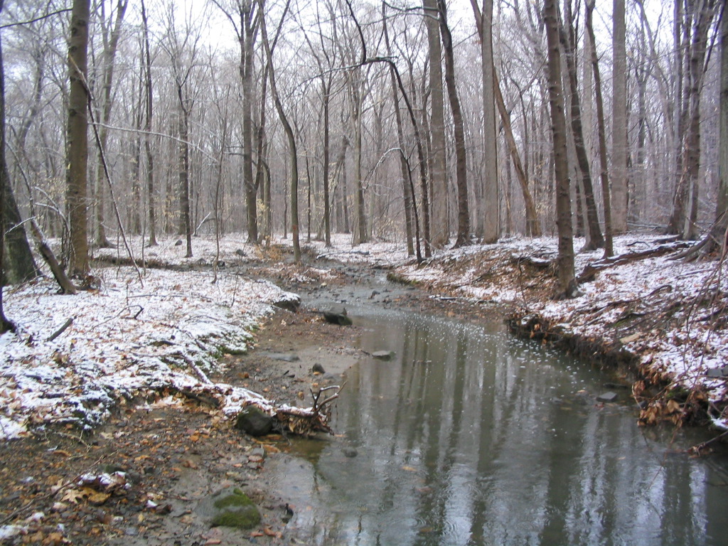 Field photo showing stream conditions at site BYNU-112-R-2004-7