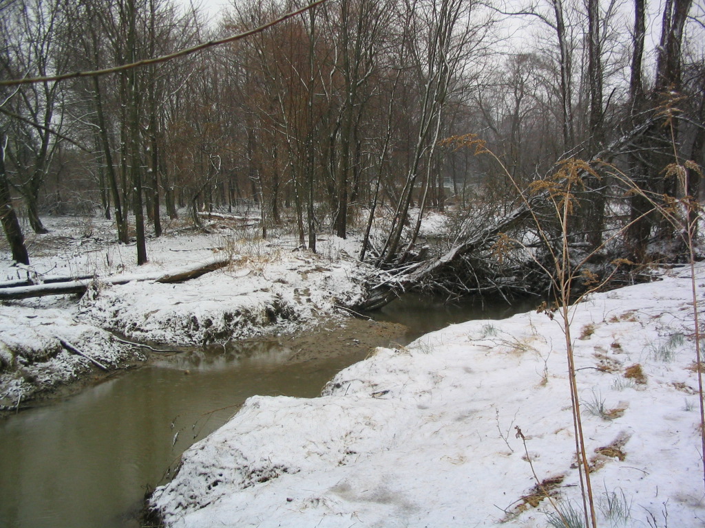 Field photo showing stream conditions at site BYNU-117-R-2004-4