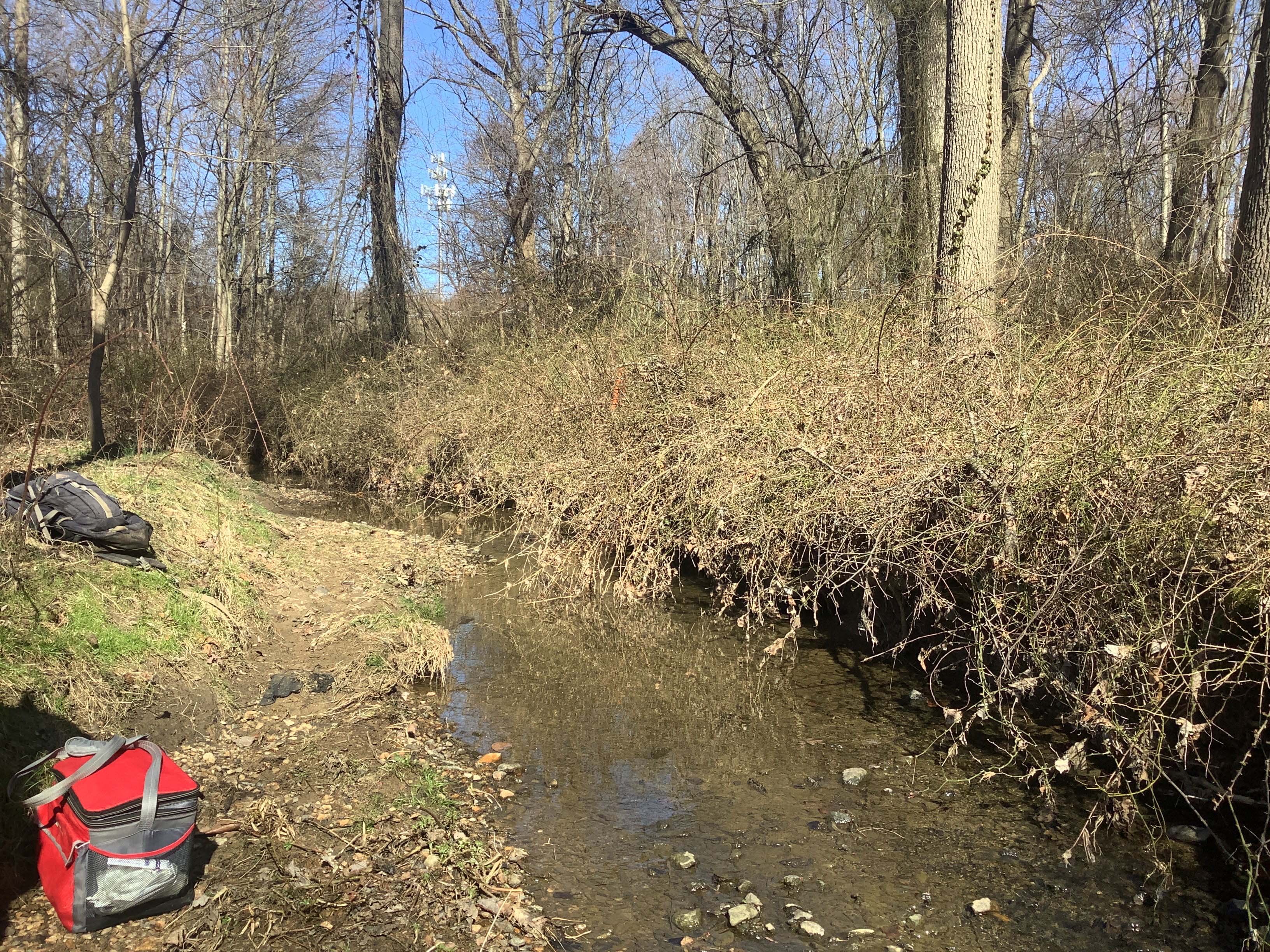 Field photo showing stream conditions at site BYNU-121-R-2023_Midpoint_facing_upstream