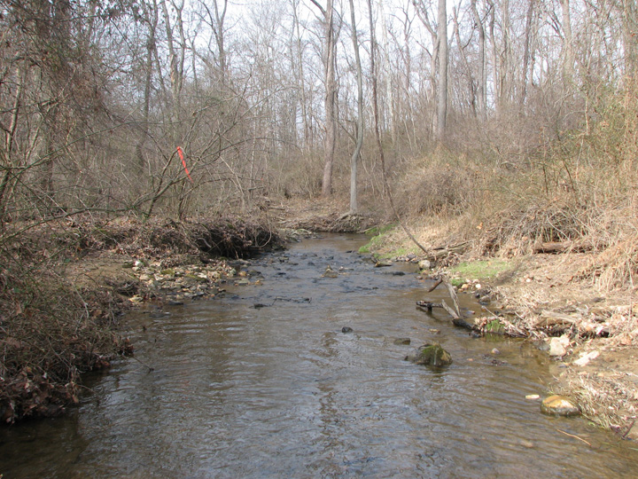 Field photo showing stream conditions at site BYNU-201-R-2007-1