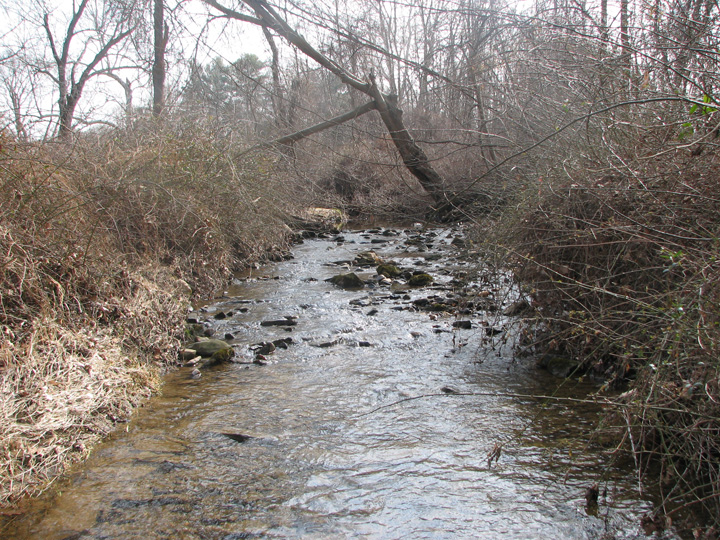 Field photo showing stream conditions at site BYNU-201-R-2007-2