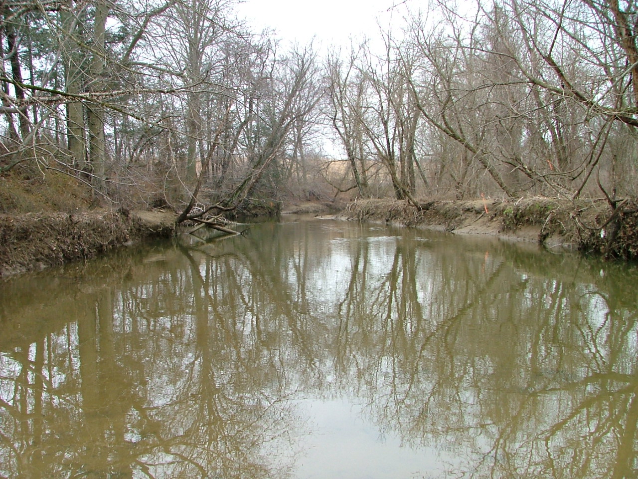 Field photo showing stream conditions at site BYNU-310-R-2004-1