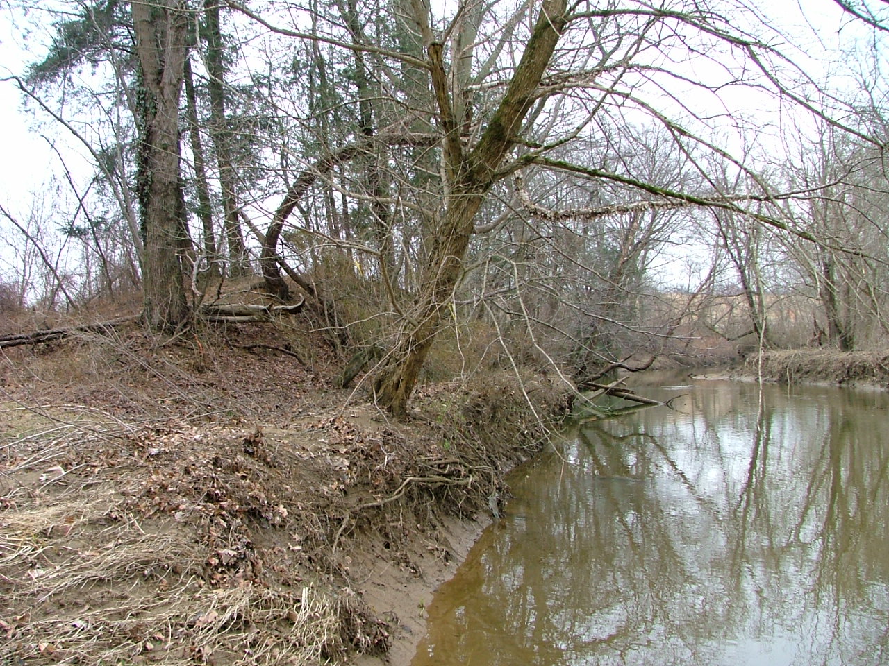 Field photo showing stream conditions at site BYNU-310-R-2004-2
