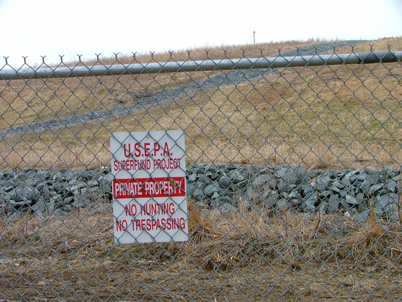 Field photo showing stream conditions at site BYNU-310-R-2004-3