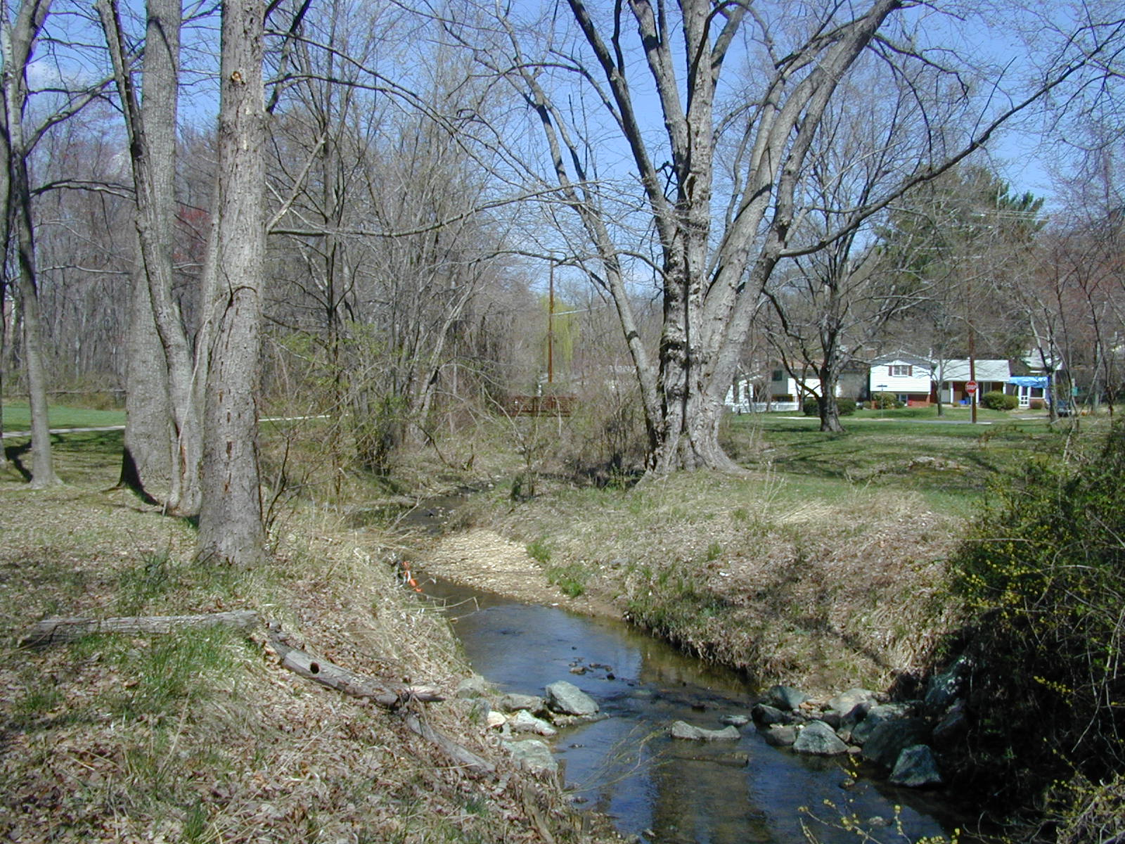 Field photo showing stream conditions at site CABJ-102-R-2003-766