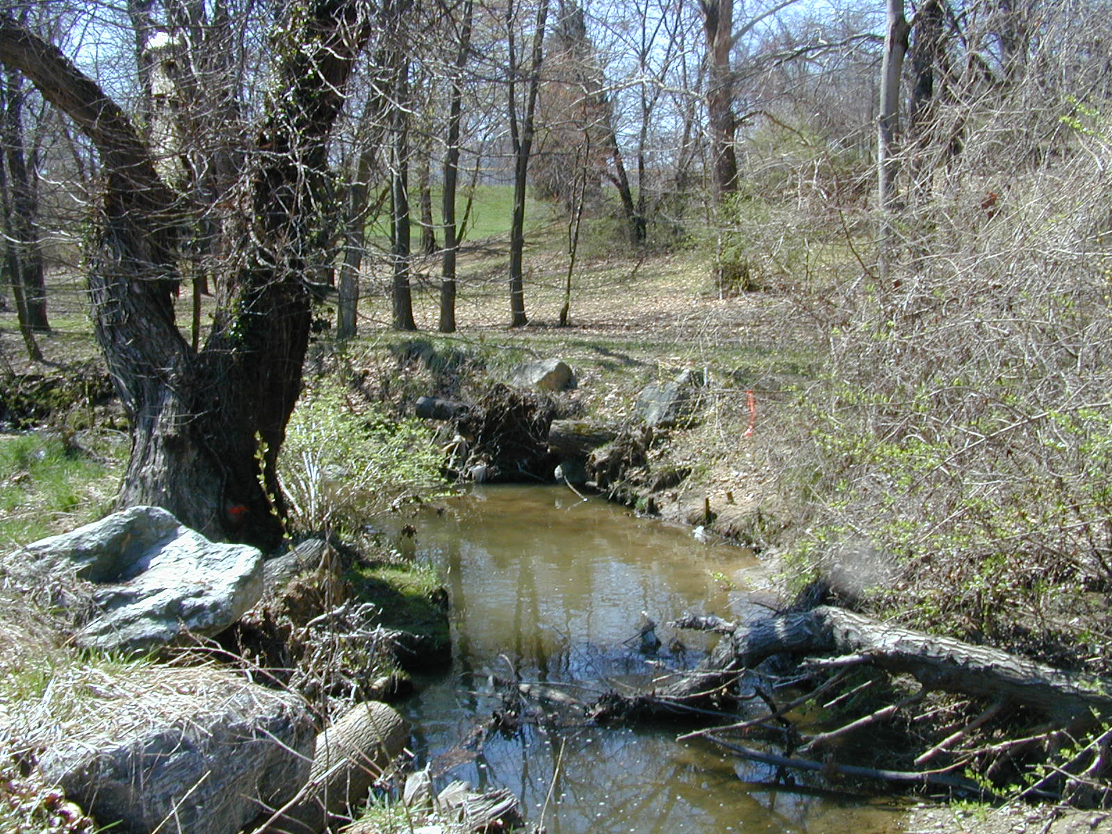 Field photo showing stream conditions at site CABJ-102-R-2003-767