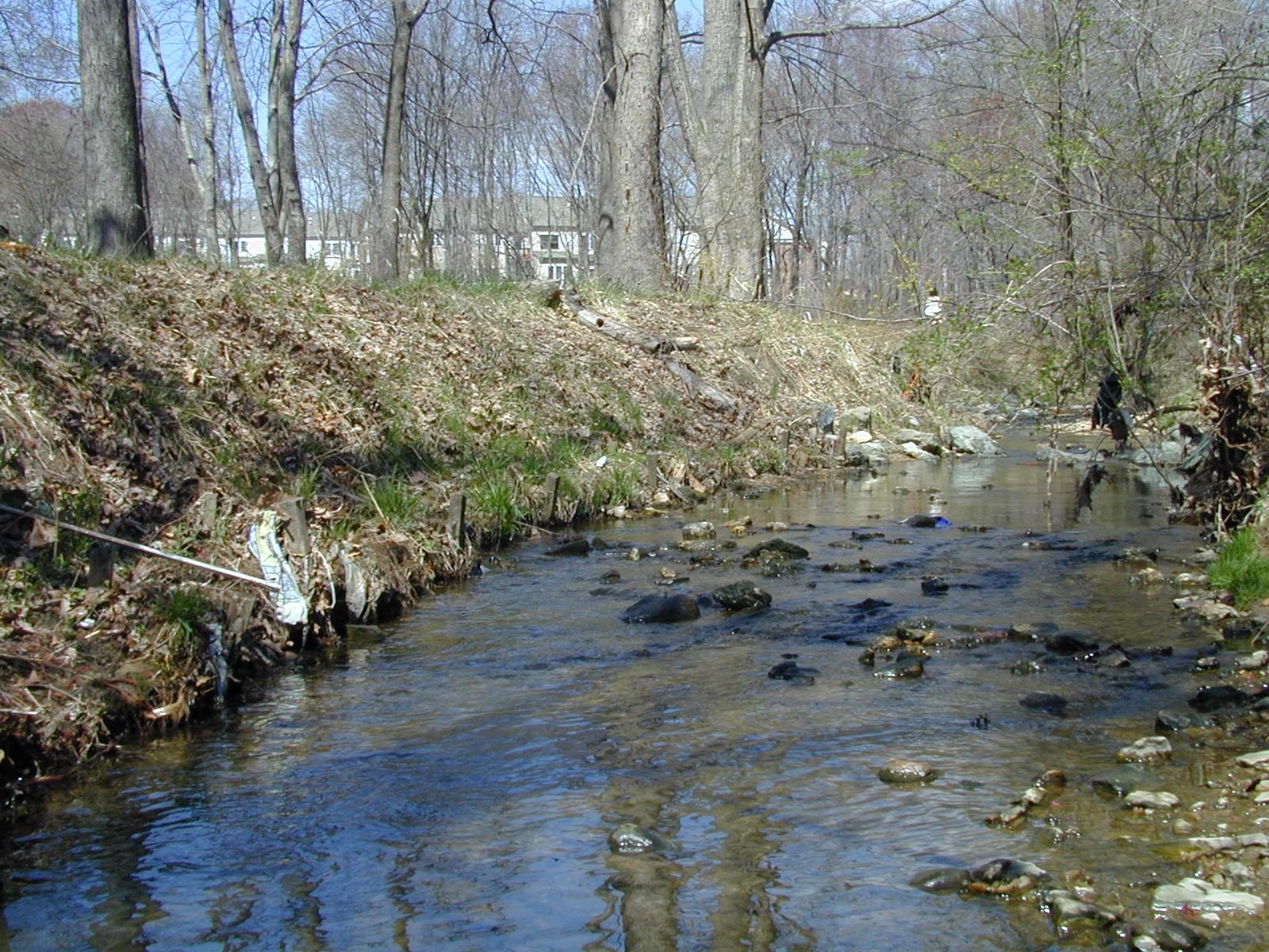Field photo showing stream conditions at site CABJ-102-R-2003-768
