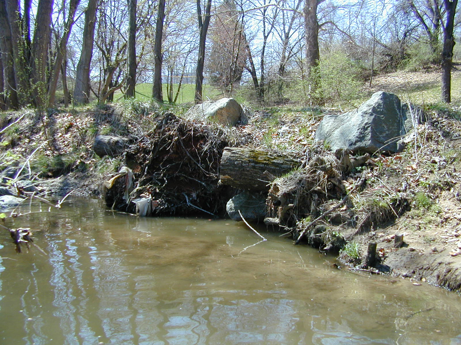 Field photo showing stream conditions at site CABJ-102-R-2003-769