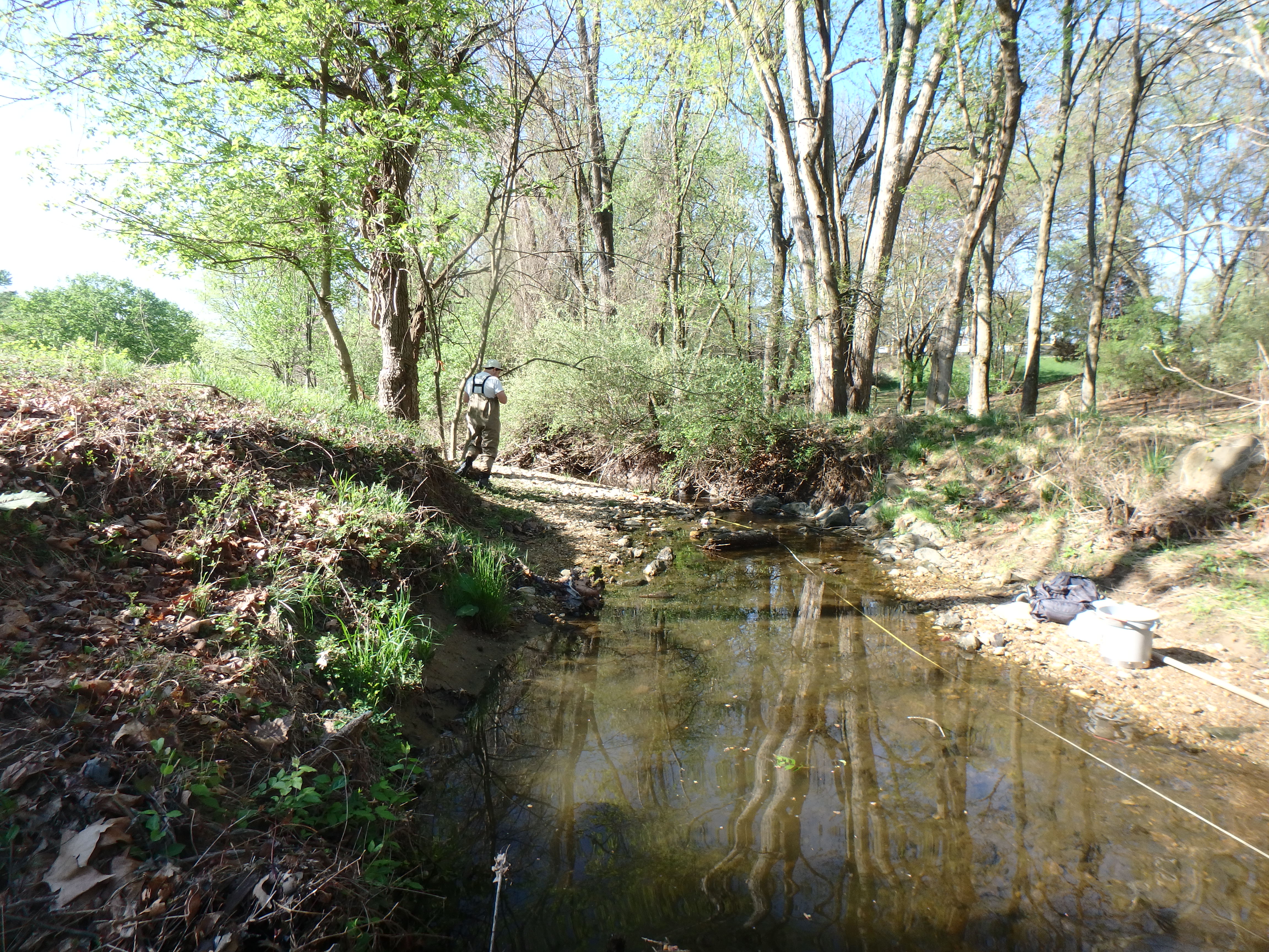 Field photo showing stream conditions at site CABJ-102-R-2017-MidpointLookingDownstream