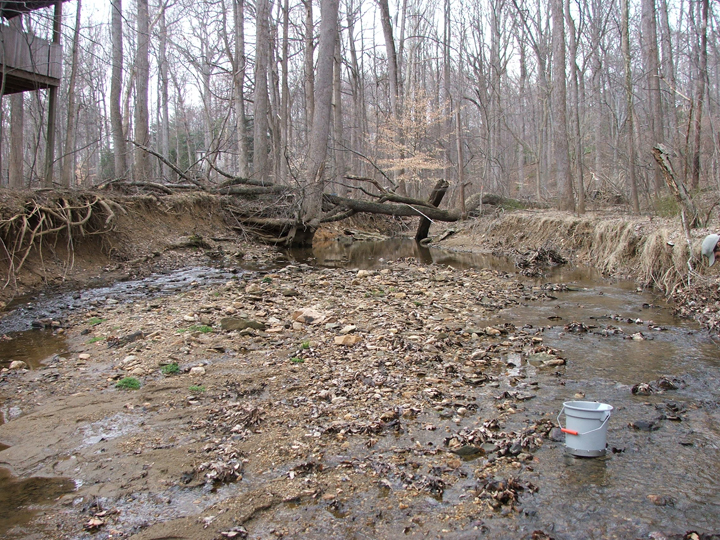 Field photo showing stream conditions at site CABJ-104-B-2008-1