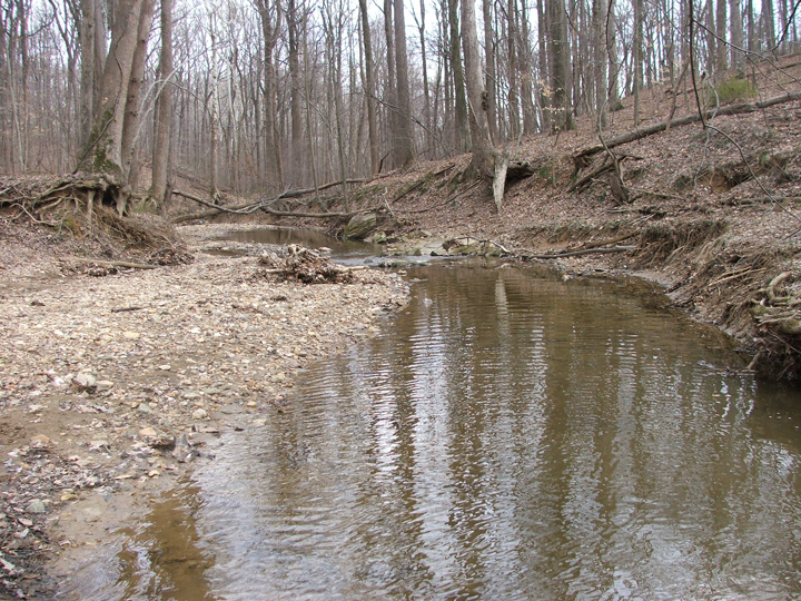 Field photo showing stream conditions at site CABJ-104-B-2008-2