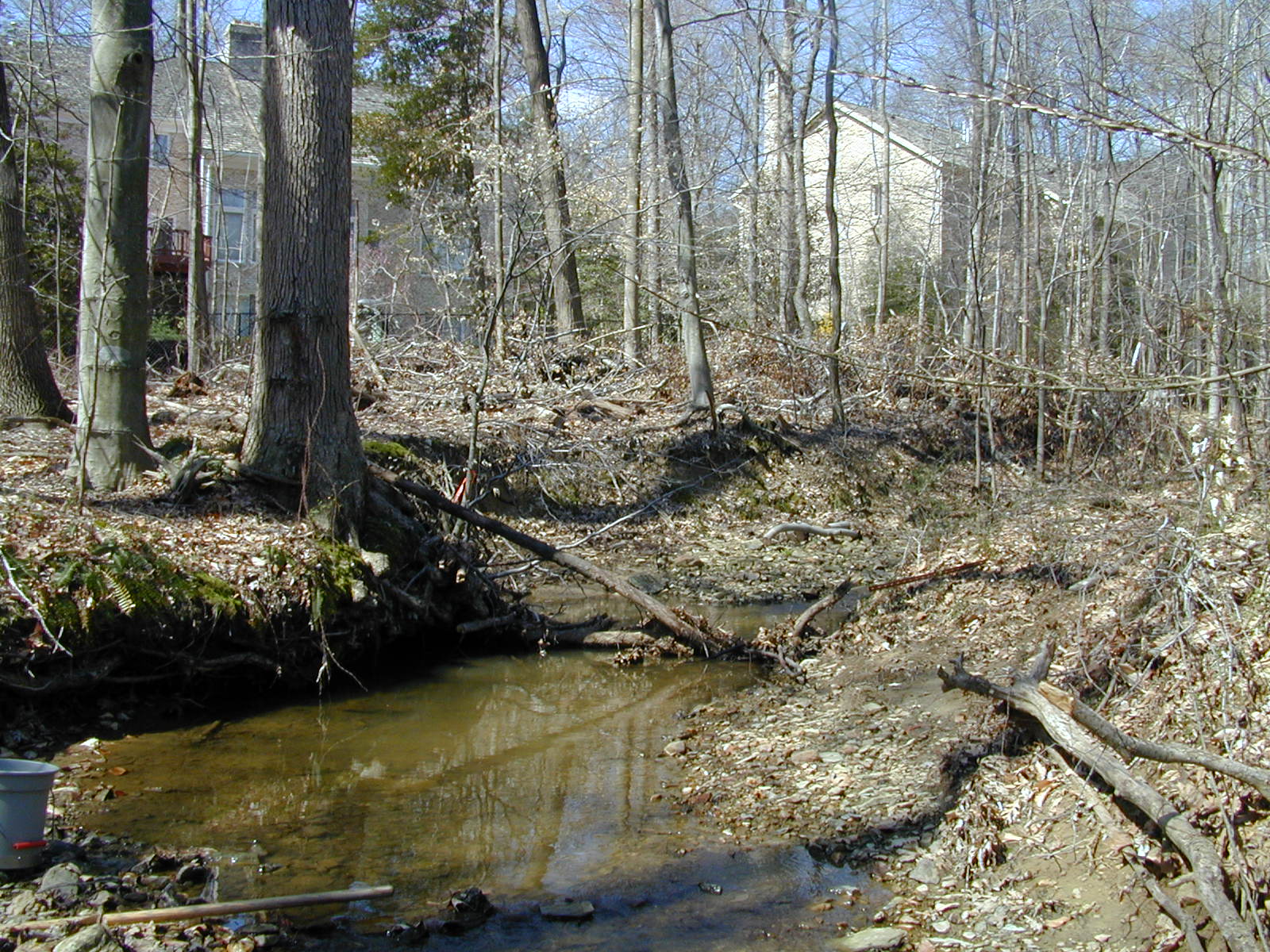 Field photo showing stream conditions at site CABJ-109-R-2003-764