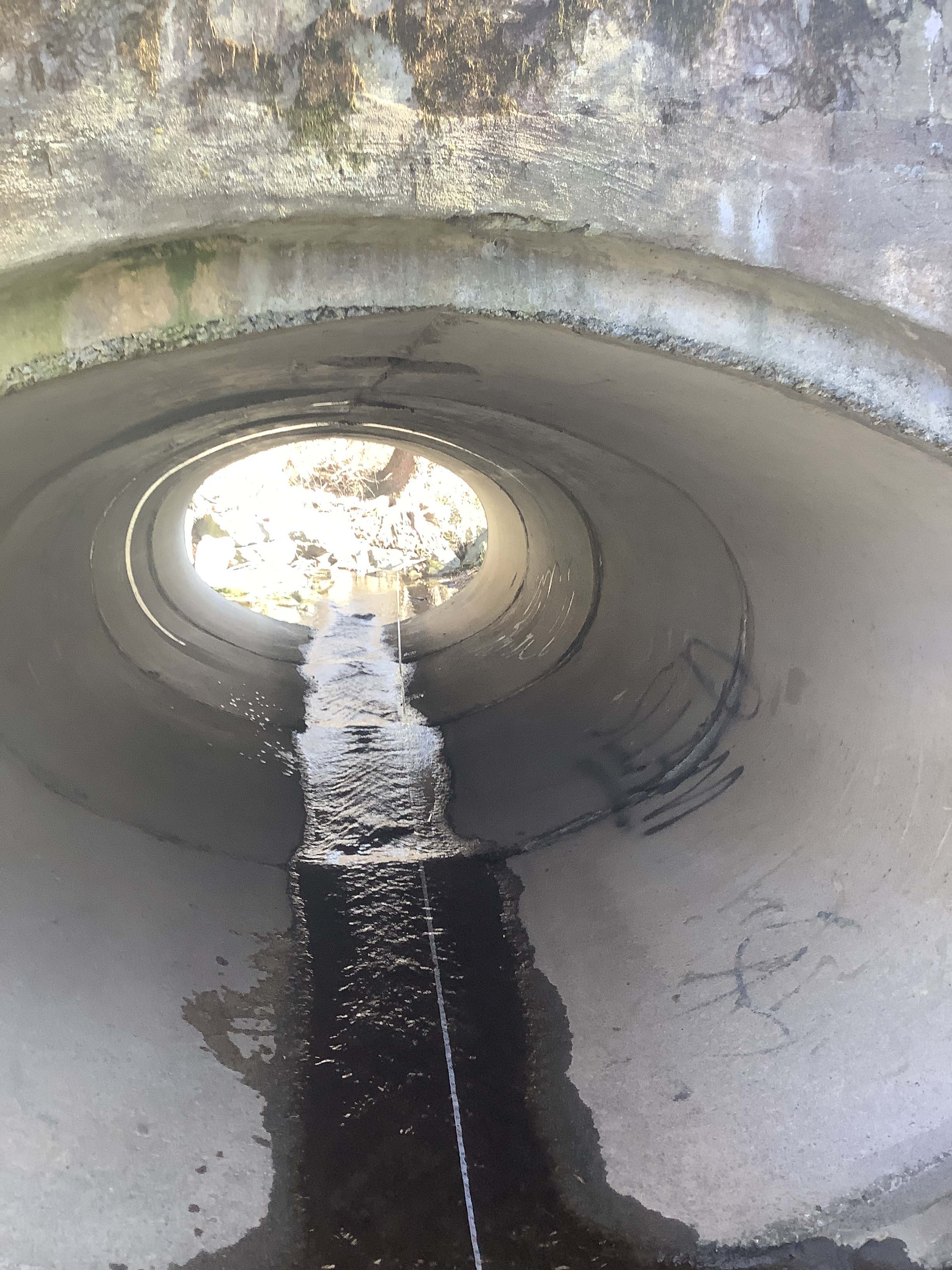 Field photo showing stream conditions at site CABJ-123-R-2023_Midpoint_facing_downstream_doubles_as_culvert_photo