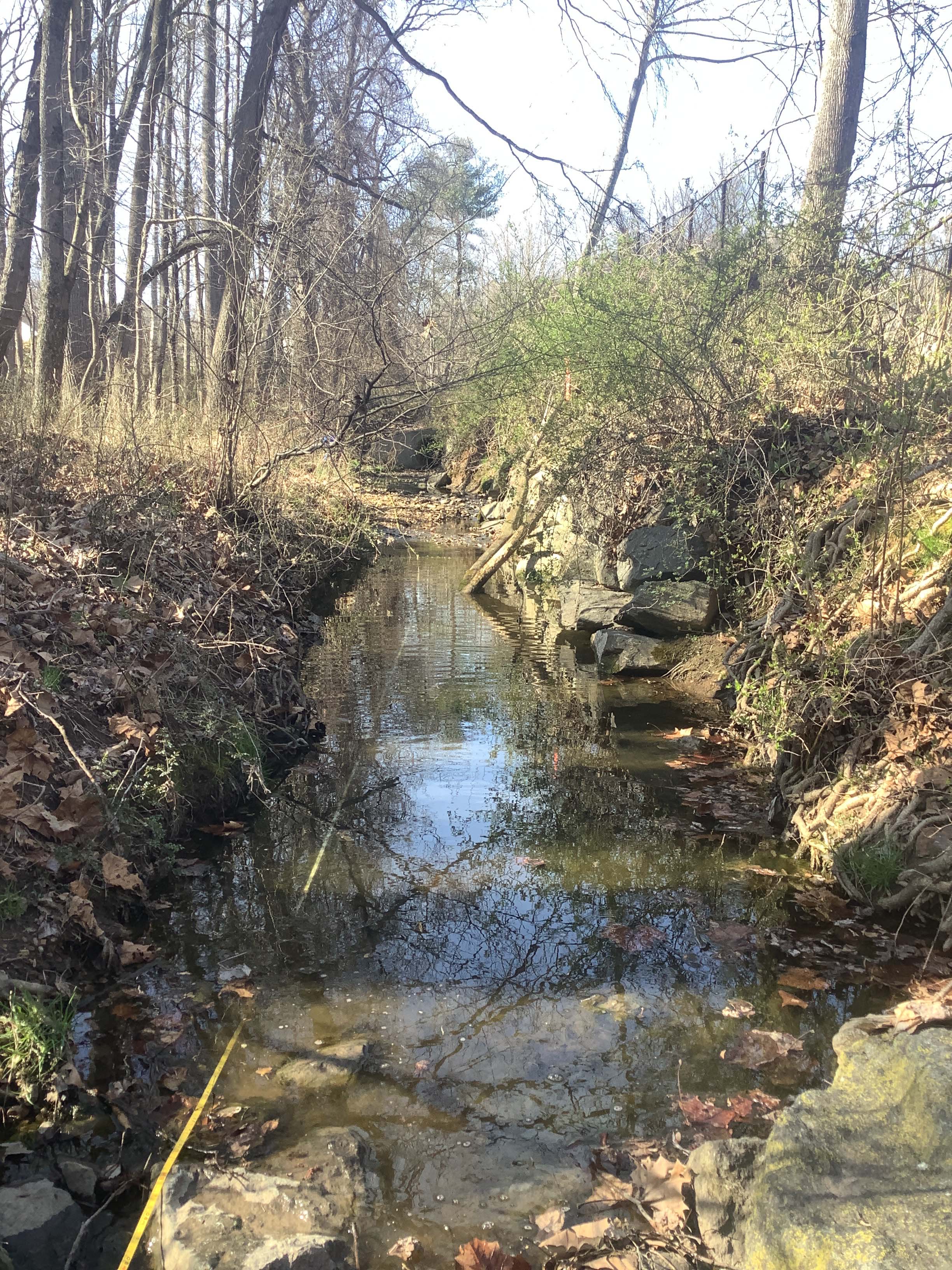 Field photo showing stream conditions at site CABJ-123-R-2023_Midpoint_facing_upstream_