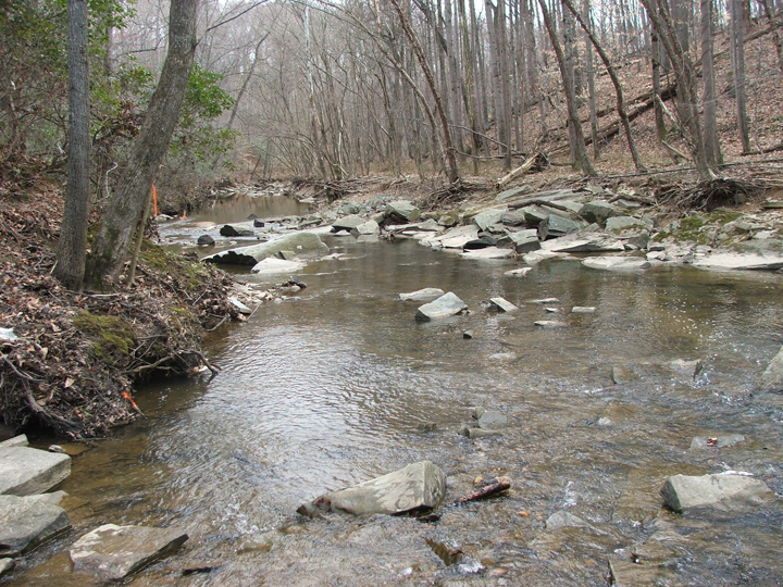 Field photo showing stream conditions at site CABJ-207-B-2008-2