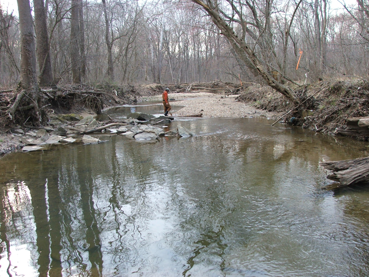 Field photo showing stream conditions at site CABJ-208-B-2008-1