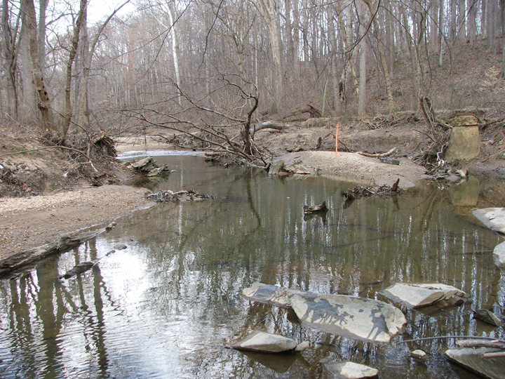 Field photo showing stream conditions at site CABJ-208-B-2008-2