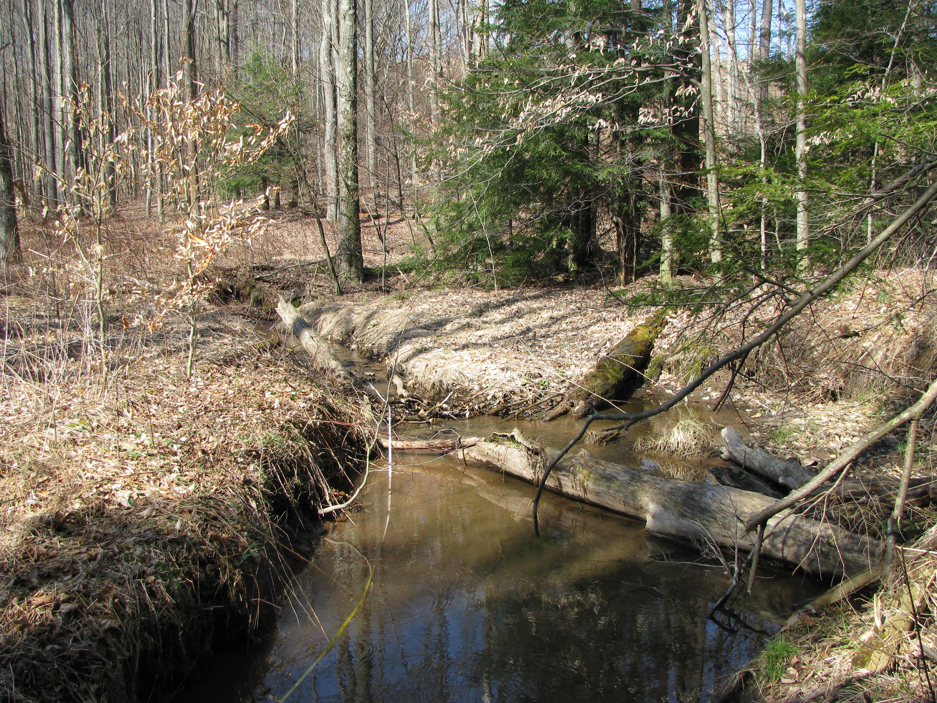 Field photo showing stream conditions at site CASS-101-D-2012-1