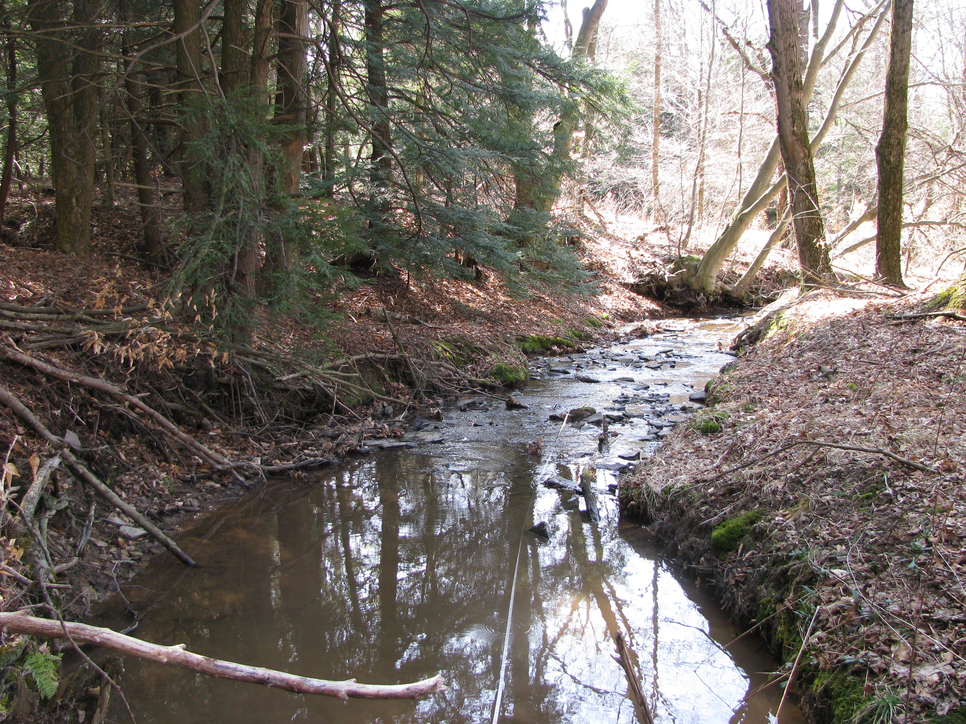 Field photo showing stream conditions at site CASS-101-D-2012-3