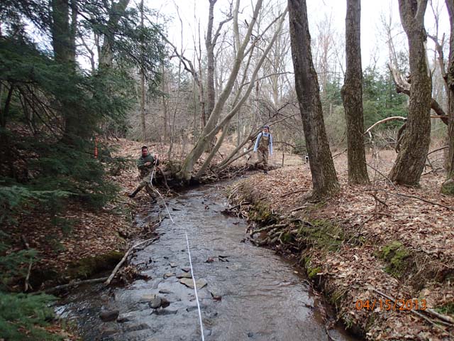 Field photo showing stream conditions at site CASS-101-D-2013-MidpointDownstream