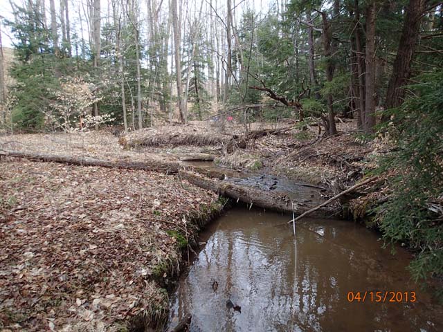 Field photo showing stream conditions at site CASS-101-D-2013-MidpointUpstream
