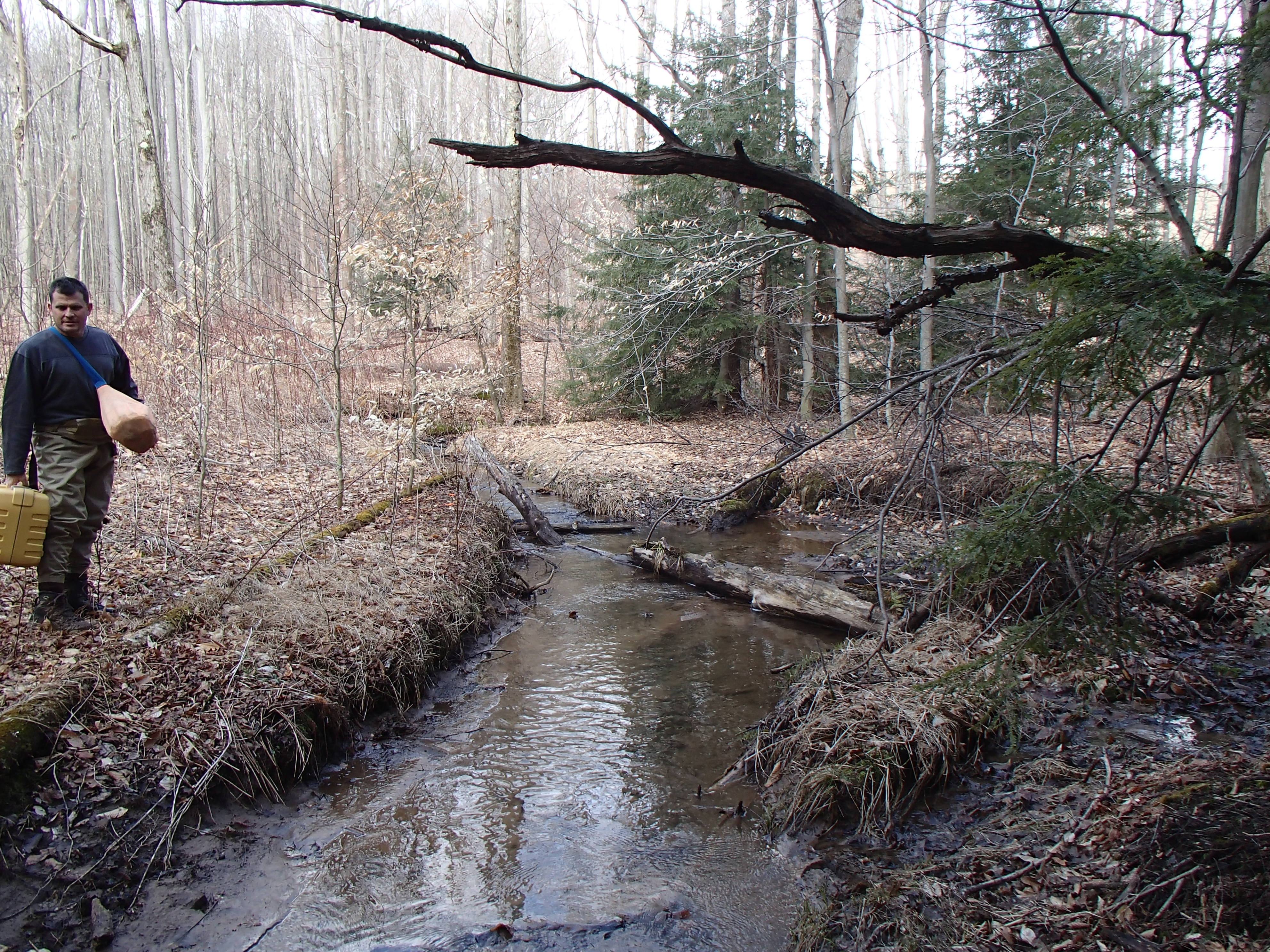 Field photo showing stream conditions at site CASS-101-D-2014-1