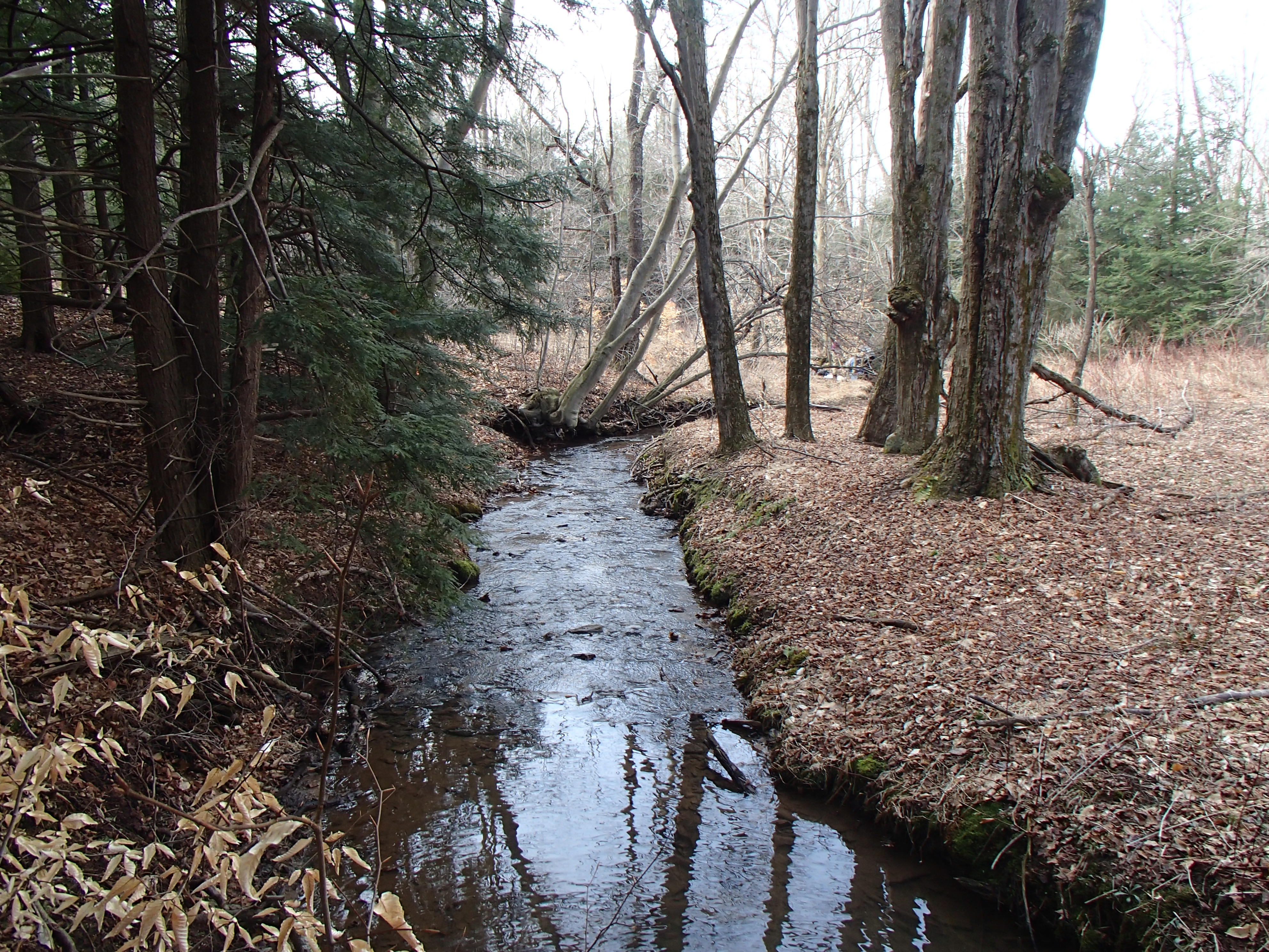 Field photo showing stream conditions at site CASS-101-D-2014-2
