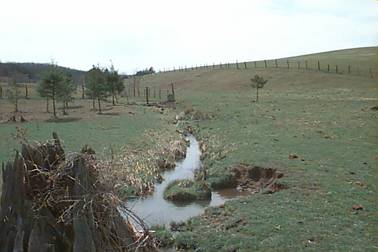 Field photo showing stream conditions at site CASS-101-R-2000-01