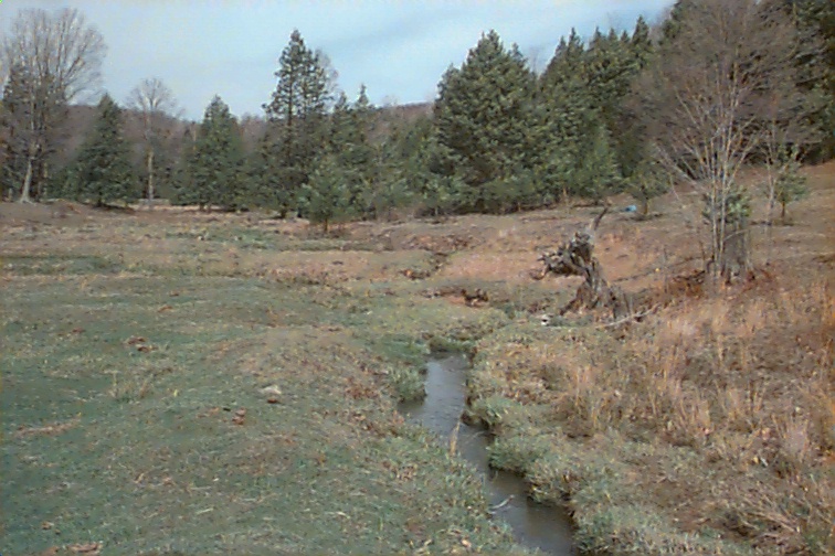 Field photo showing stream conditions at site CASS-101-R-2000-02