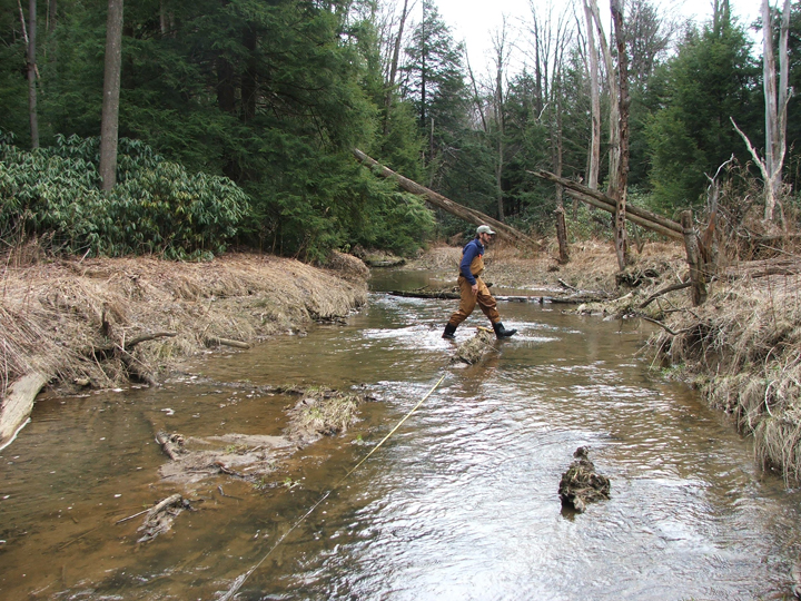 Field photo showing stream conditions at site CASS-101-R-2008-2