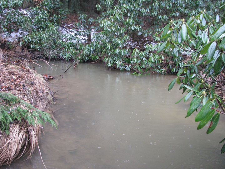 Field photo showing stream conditions at site CASS-101-X-2011-1