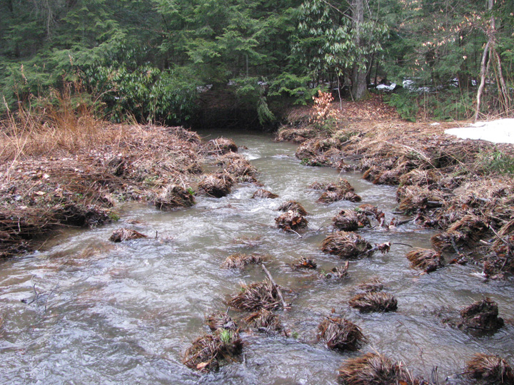 Field photo showing stream conditions at site CASS-101-X-2011-2