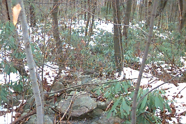 Field photo showing stream conditions at site CASS-102-R-2000-01