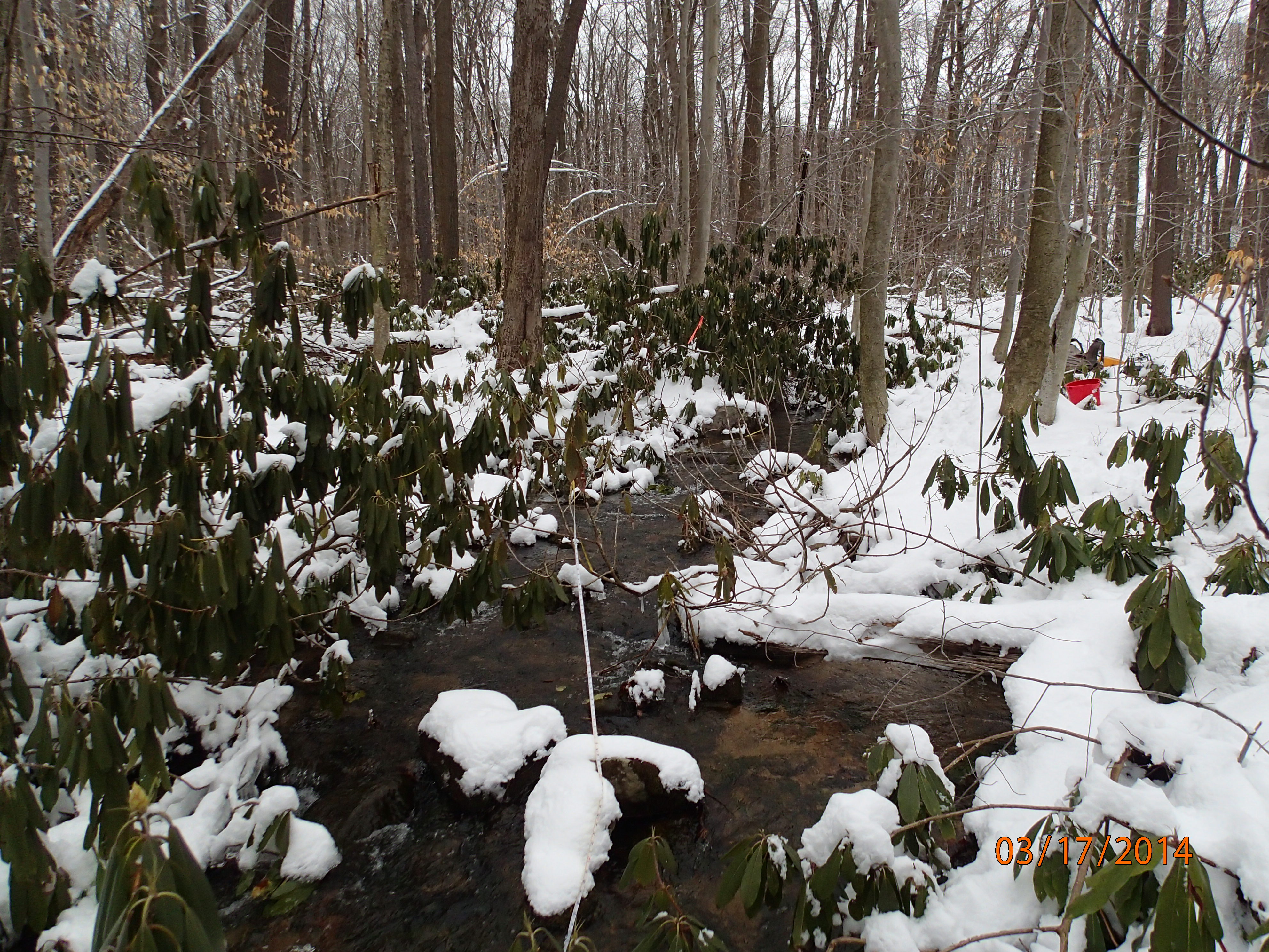 Field photo showing stream conditions at site CASS-102-R-2014-MidpointUpstream