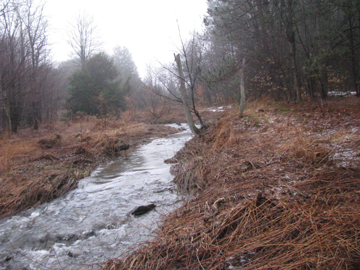 Field photo showing stream conditions at site CASS-102-X-2011-1